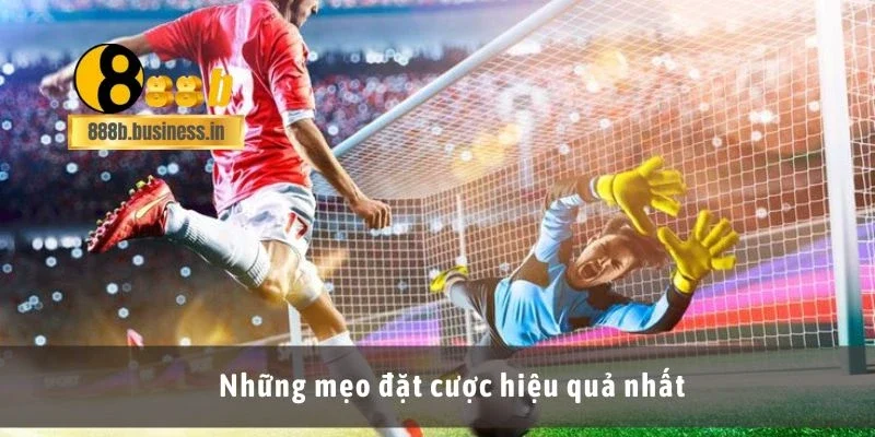 Những mẹo đặt cược hiệu quả nhất